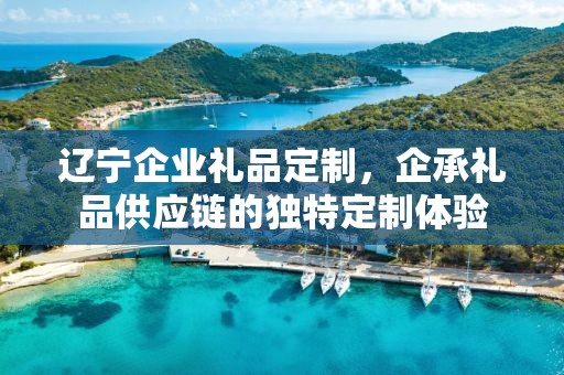 辽宁企业礼品定制，企承礼品供应链的独特定制体验