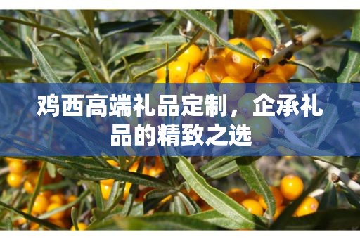 鸡西高端礼品定制，企承礼品的精致之选
