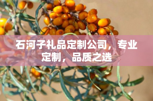 石河子礼品定制公司，专业定制，品质之选