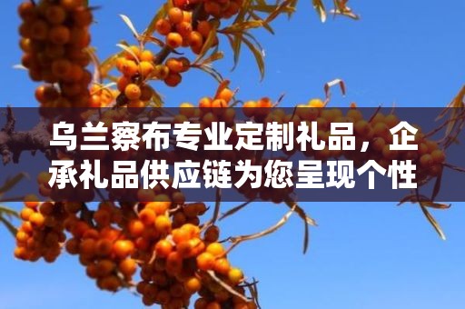 乌兰察布专业定制礼品，企承礼品供应链为您呈现个性化定制服务