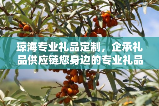 琼海专业礼品定制，企承礼品供应链您身边的专业礼品定制公司