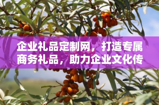 企业礼品定制网，打造专属商务礼品，助力企业文化传承