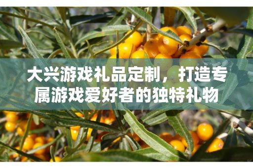 大兴游戏礼品定制，打造专属游戏爱好者的独特礼物