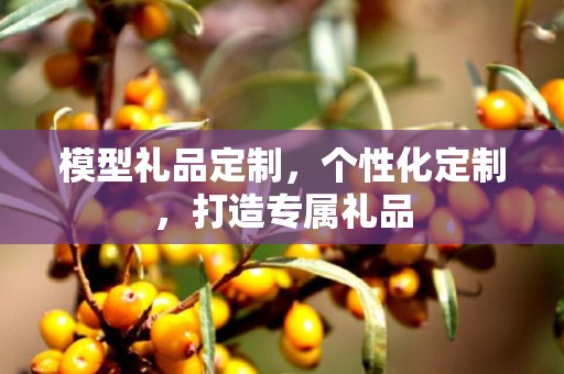 模型礼品定制，个性化定制，打造专属礼品
